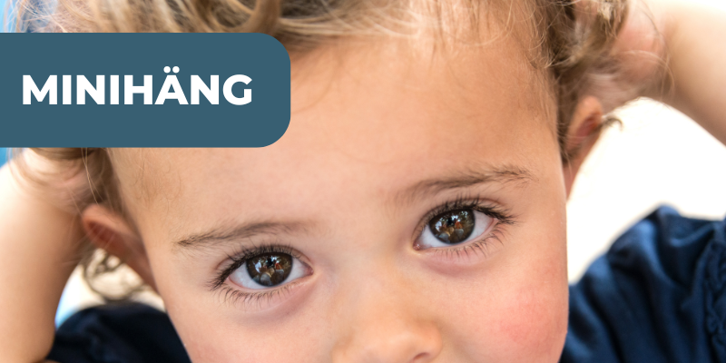Minihäng